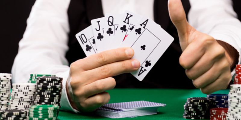 BETVISION mang tới nhiều tính năng đặc biệt