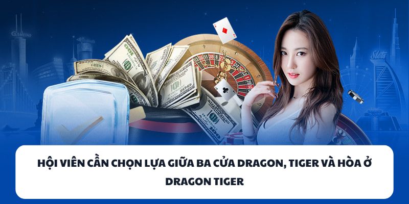 Hội viên cần chọn lựa giữa ba cửa Dragon, Tiger và Hòa ở Dragon Tiger