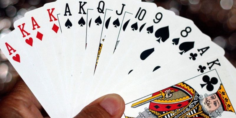 BIGBET88 - Địa Chỉ Tin Cậy Cho Cược Thủ Có Đam Mê Game Bài 1 Tìm hiểu sơ lược về nền tảng BIGBET88