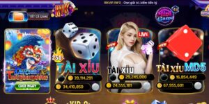 Free Bet Là Gì? Cách Nhận Thưởng Miễn Phí Từ Nhà Cái Uy Tín